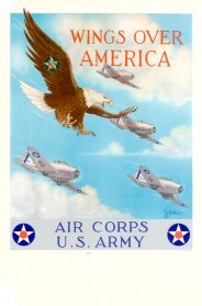 Army Air Corp flyer